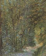 Vincent Van Gogh Path in the Woods (nn04) oil